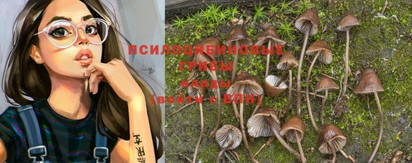 МДПВ Алексеевка
