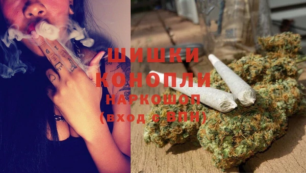 МДПВ Алексеевка