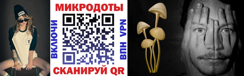 Галлюциногенные грибы Psilocybe  где найти   KRAKEN вход  Заинск 
